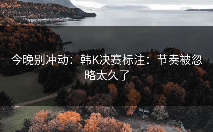 今晚别冲动：韩K决赛标注：节奏被忽略太久了